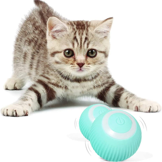 Interactive Cat Toys